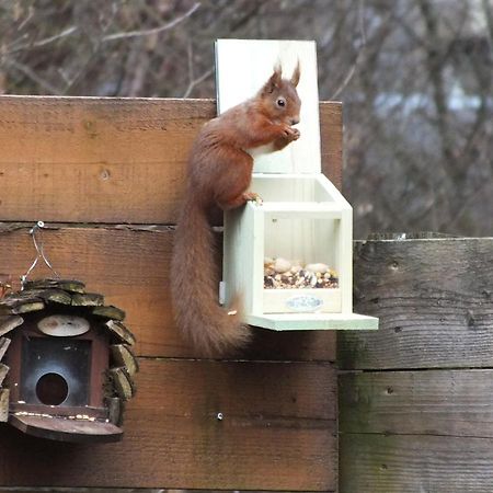 Woodburn Ground-Floor Apartment In Quiet Setting In Pitlochry Extérieur photo